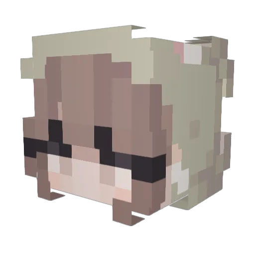 AronFeller_ Minecraft avatar head, 3D render