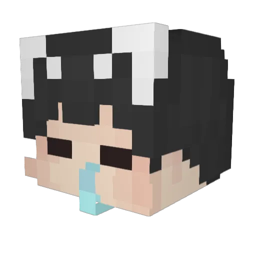Aron_01 Minecraft avatar head, 3D render