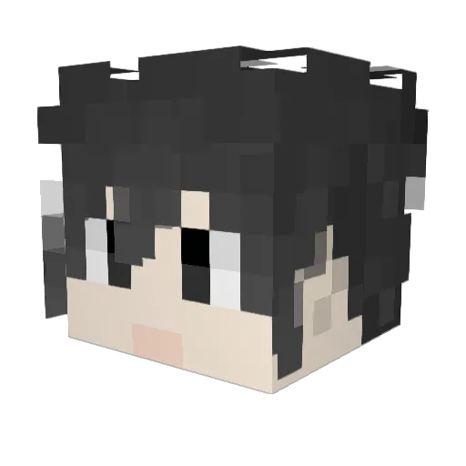 Aron_32 Minecraft avatar head, 3D render
