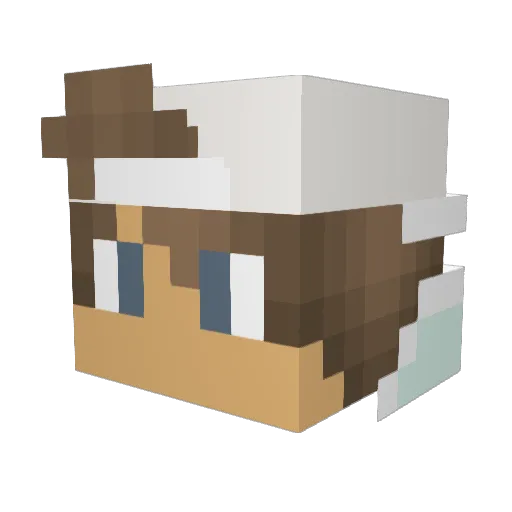 Aron_Haugen Minecraft avatar head, 3D render