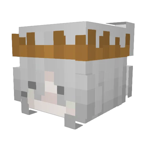 Arongyee Minecraft avatar head, 3D render