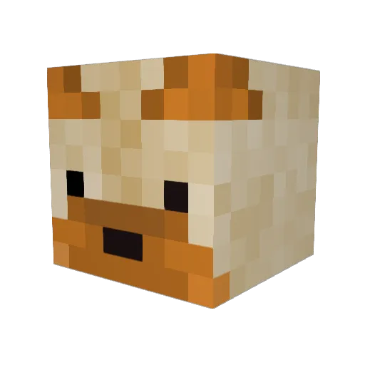 Aronka187 Minecraft avatar head, 3D render