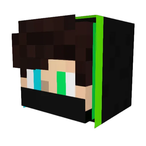 Aronking0104 Minecraft avatar head, 3D render