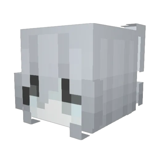 Aronrl Minecraft avatar head, 3D render