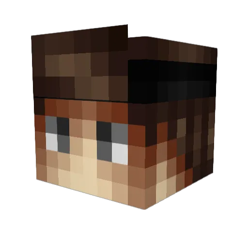 Aropi Minecraft avatar head, 3D render