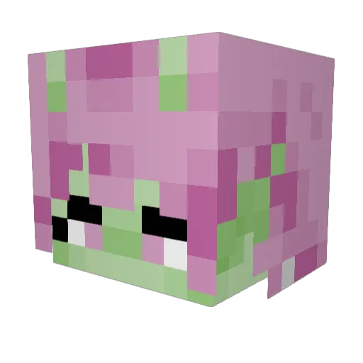 AroraBee Minecraft avatar head, 3D render