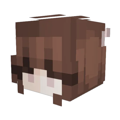 Arotyk Minecraft avatar head, 3D render