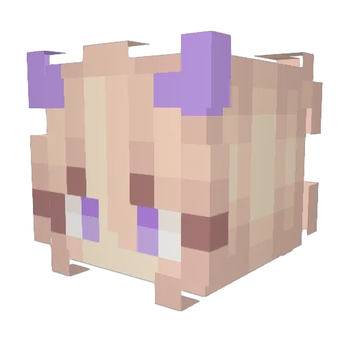 Arowyyn Minecraft avatar head, 3D render
