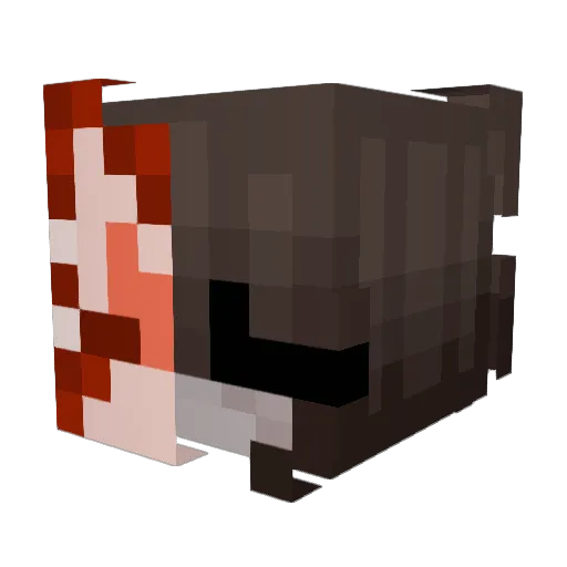Aroyittuwu Minecraft avatar head, 3D render