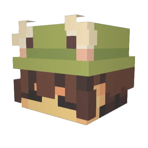 Arphyrn Minecraft avatar head, 3D render