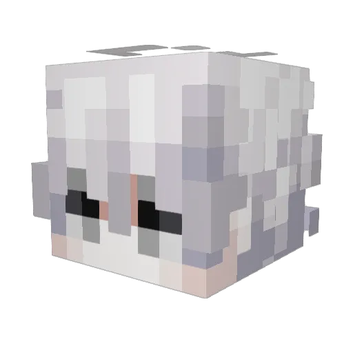 Arpit_XD Minecraft avatar head, 3D render
