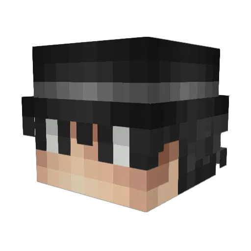 Arpix01011100 Minecraft avatar head, 3D render