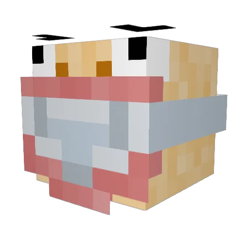 Arran56 Minecraft avatar head, 3D render