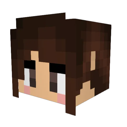 Arrasa97 Minecraft avatar head, 3D render