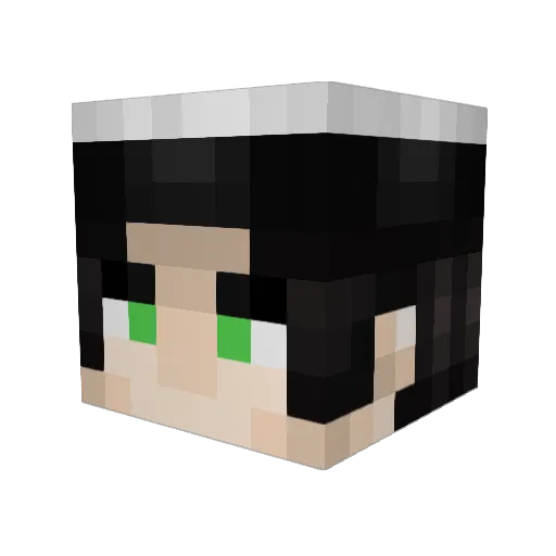ArrayJack Minecraft avatar head, 3D render