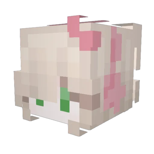 Arreiss Minecraft avatar head, 3D render