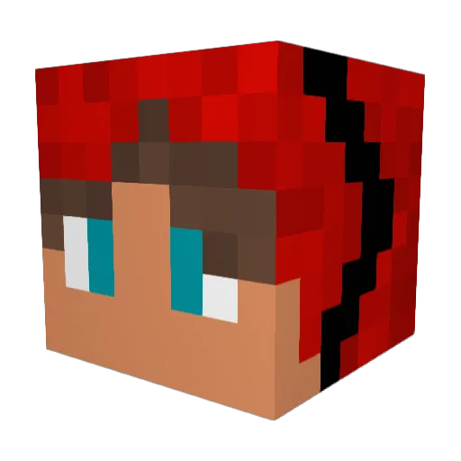 Arren73 Minecraft avatar head, 3D render