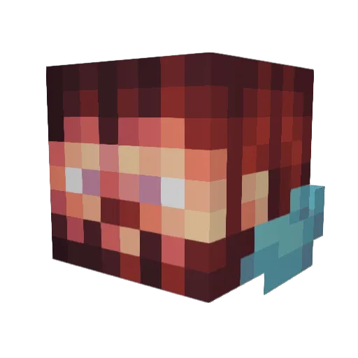 Arrendis Minecraft avatar head, 3D render