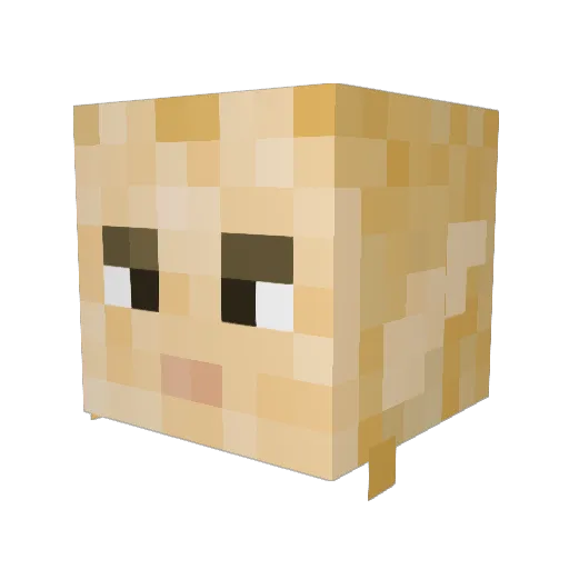 ArrgnzRobin Minecraft avatar head, 3D render