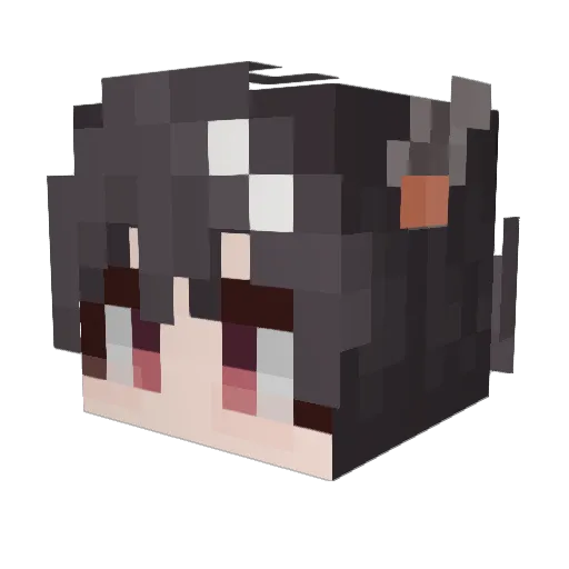 Arrnoi Minecraft avatar head, 3D render