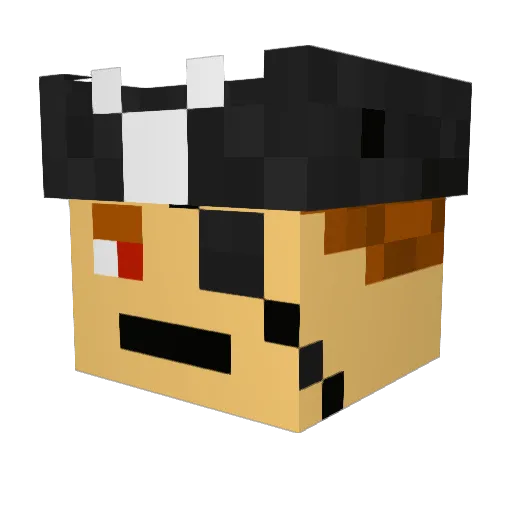 Arronius Minecraft avatar head, 3D render