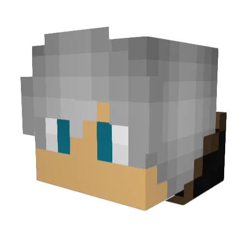 ArrowCrow_ Minecraft avatar head, 3D render