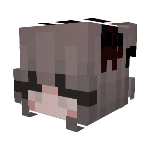 ArrowStormmmm Minecraft avatar head, 3D render