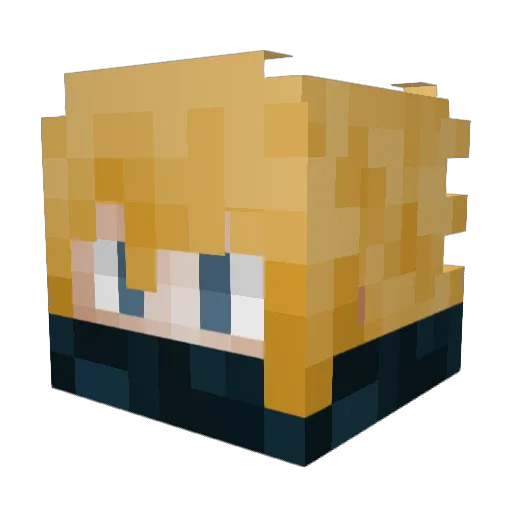 Arrow_PewPew Minecraft avatar head, 3D render
