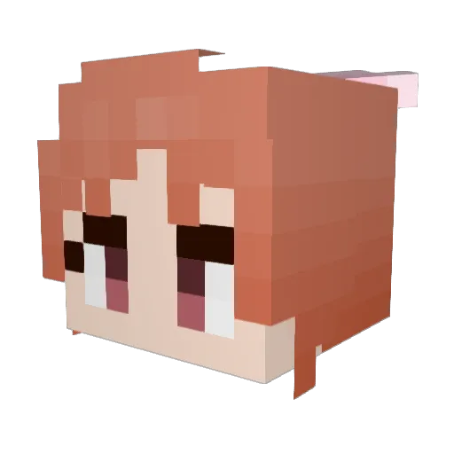 Arrow_Rabbit Minecraft avatar head, 3D render