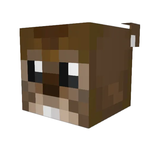 Arrownz Minecraft avatar head, 3D render