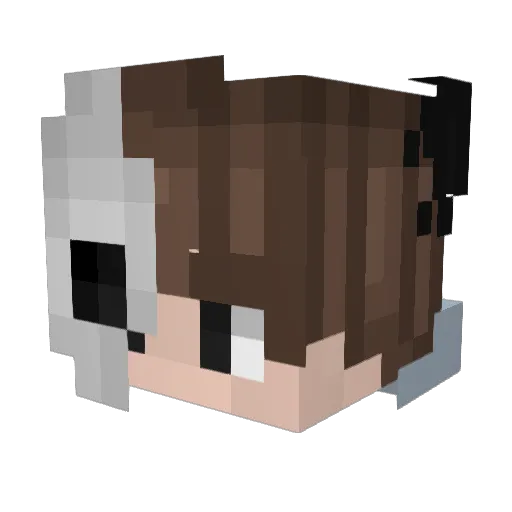 Arrrnb Minecraft avatar head, 3D render