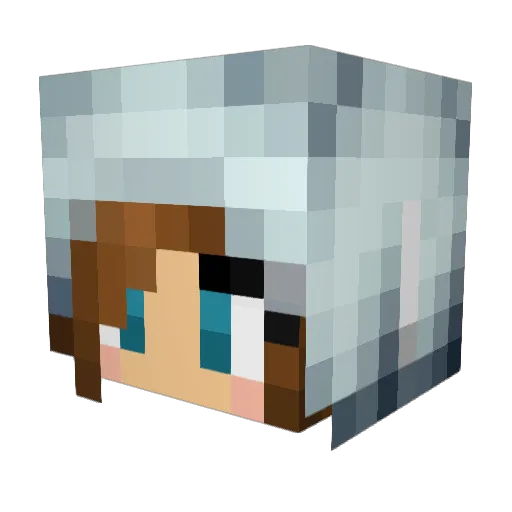 Arrtemiis Minecraft avatar head, 3D render
