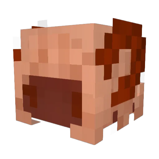 Arrthy Minecraft avatar head, 3D render