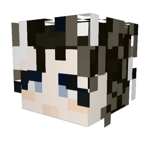 Arry_TvT Minecraft avatar head, 3D render