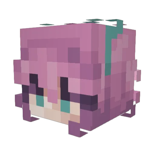Ars0nChild_ Minecraft avatar head, 3D render
