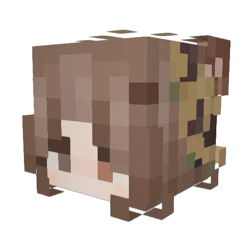 Arskanela Minecraft avatar head, 3D render