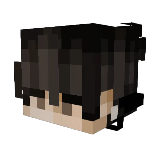 Arson_is_pog_ Minecraft avatar head, 3D render