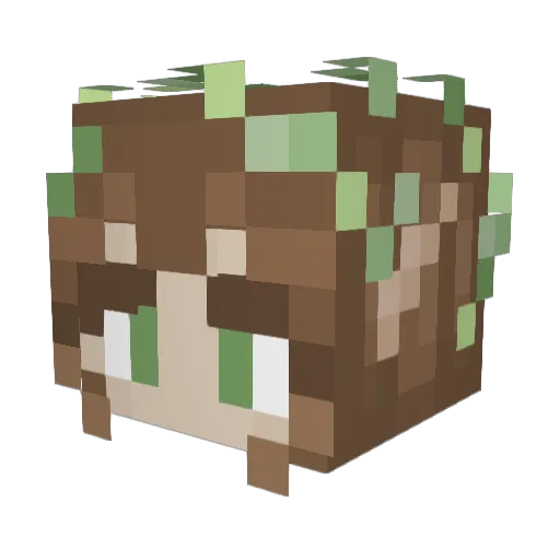 ArsonistRat9 Minecraft avatar head, 3D render