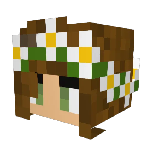 ArtMostFowl Minecraft avatar head, 3D render