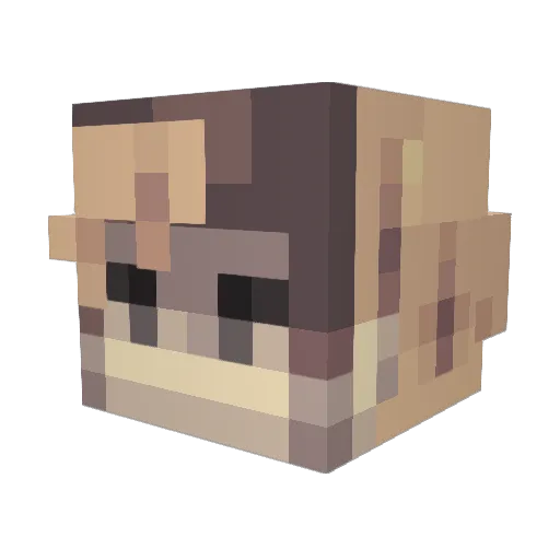 Artaca Minecraft avatar head, 3D render