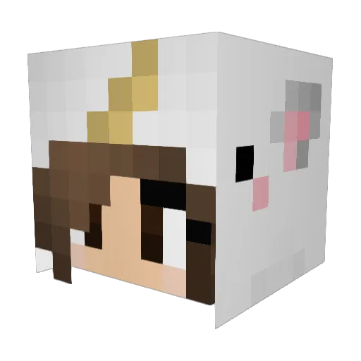 Artemis0303 Minecraft avatar head, 3D render
