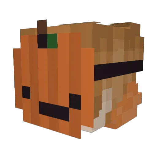 Artemis06211 Minecraft avatar head, 3D render