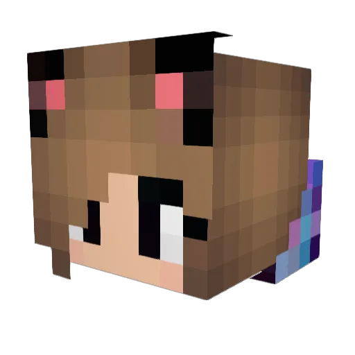Artemis500 Minecraft avatar head, 3D render