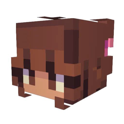 Artemis9880 Minecraft avatar head, 3D render