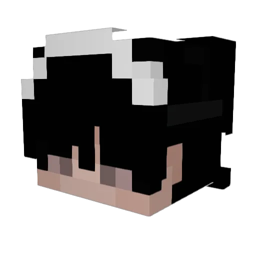 ArtemisTheAce Minecraft avatar head, 3D render