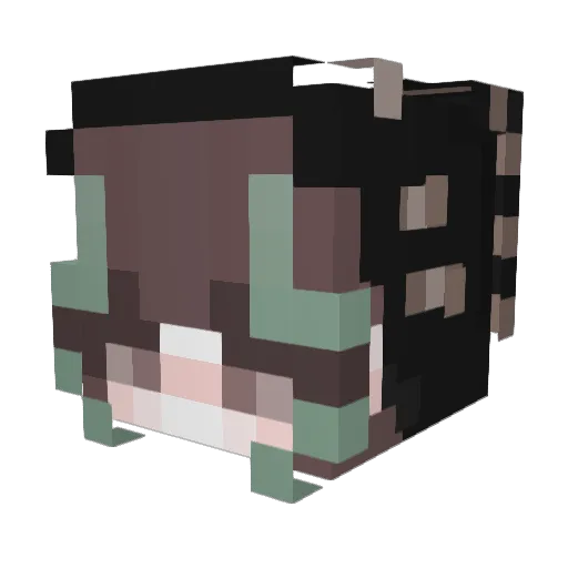 Artemis_32 Minecraft avatar head, 3D render