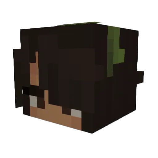 Artemis_PNG Minecraft avatar head, 3D render