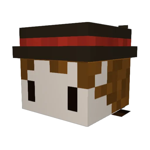 Artemis__251 Minecraft avatar head, 3D render
