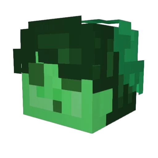 Artfulvxg Minecraft avatar head, 3D render