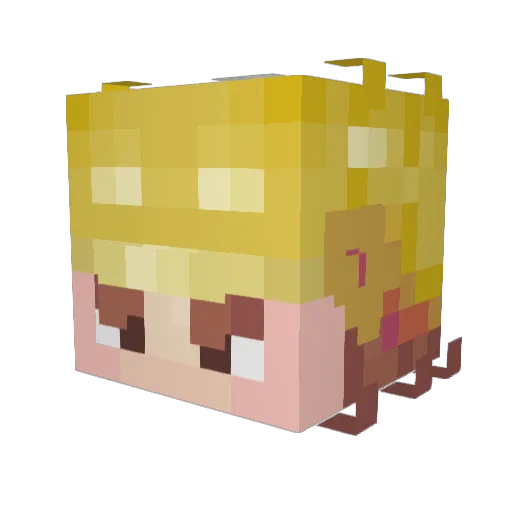 Arthas246 Minecraft avatar head, 3D render